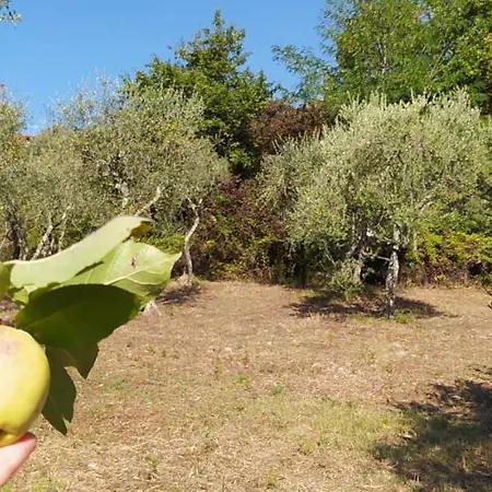 A Casa Di Luca
