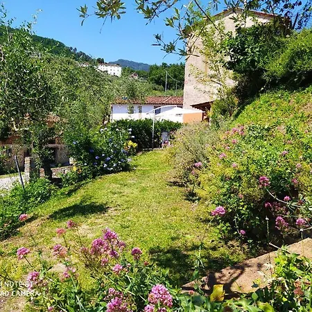 Holiday home A Casa Di Luca Lucca